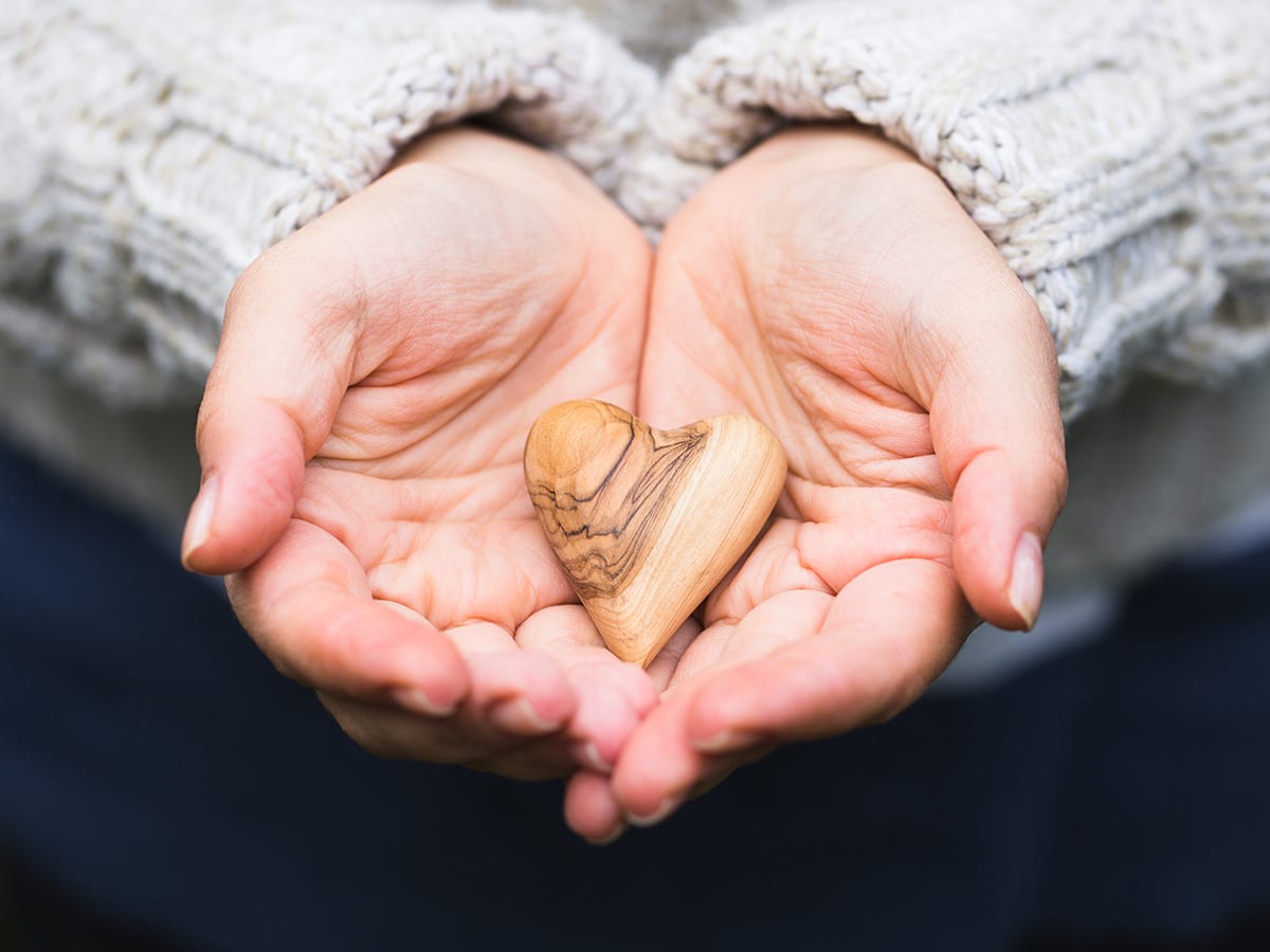 Actualizaciones de alojamiento y refugio de emergencia