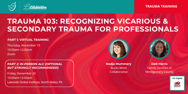 Trauma 103: Recognizing Vicarious & Secondary Trauma for Professionals