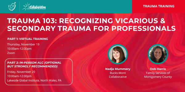 Trauma 103: Recognizing Vicarious & Secondary Trauma for Professionals